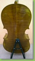 her cello 2.jpg